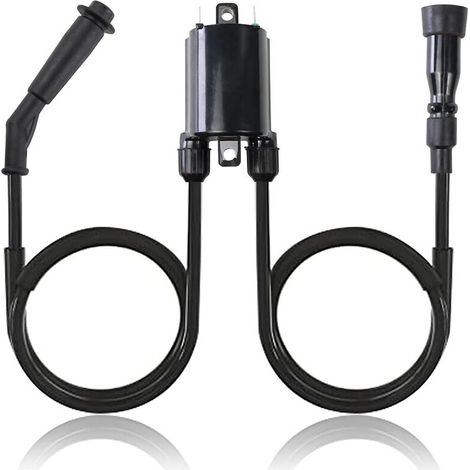 Bobine d'allumage 30510-MM8-003 pour Honda VT600C et VLX600 (1988, 1989, 1990, 1991, 1992, 1993, 1994, 1995, 1996, 1997, 1998, 1999, 2000, 2001, 2002, 2003, 2004, 2005, 2006, 2007)