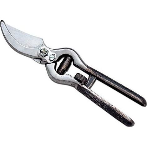 Ausonia 31003 Forbice Vigna 21cm
