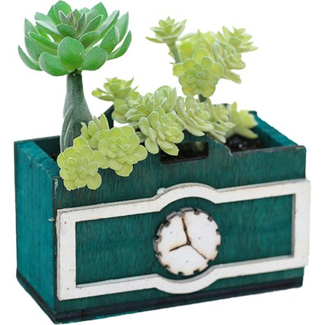 Plante Artificielle Succulente - Bonsaï Décoratif En Plastique - Pour Intérieur Et Extérieur - Lot De 1 (1/5)