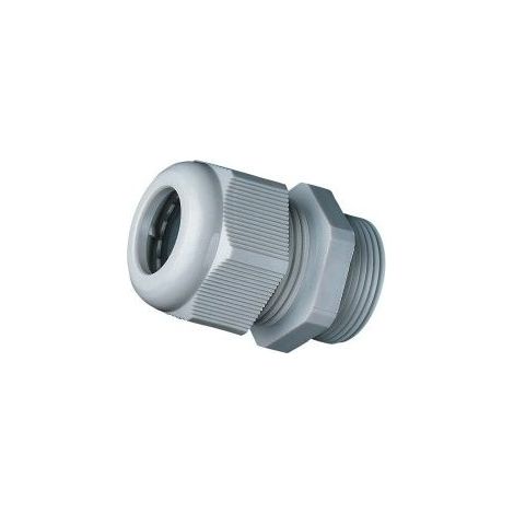 Prensaestopas PG21 sin contratuerca - Poliamida - IP68 - Gris (1/2)