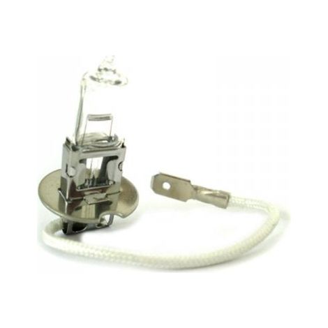10 Pezzi Lampada Alogena Camion H3 24V 70W PK22s