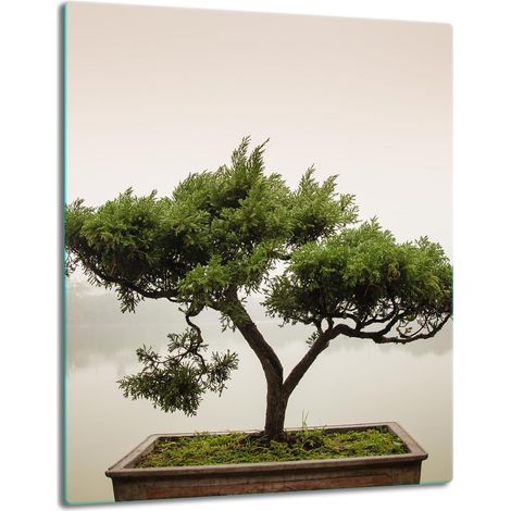 PIASTRA DI PROTEZIONE IN VETRO PER INDUZIONE 40x52 ALBERO (1/5)
