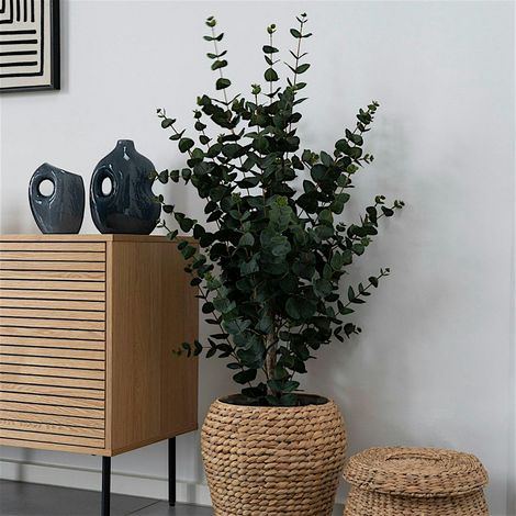 Eucalyptus artificiel en pot (1/5)