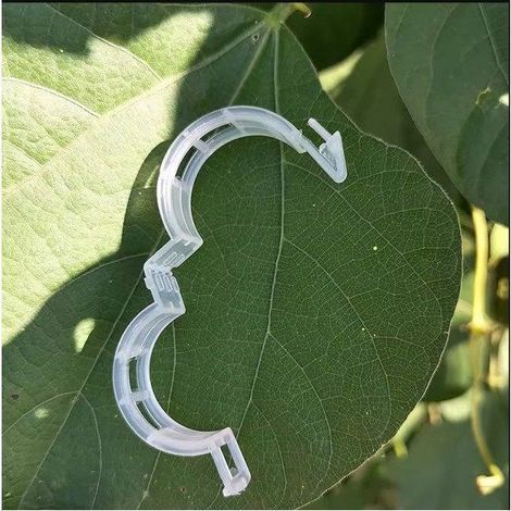 Lot de 200 clips de support en plastique pour plantes à tomates, idéal pour attacher les tiges au tuteur, solides et réutilisables