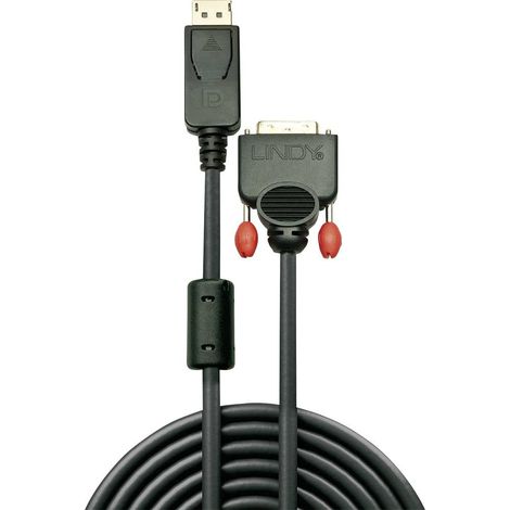 LINDY Cable DisplayPort vers DVI - 2m (1/4)