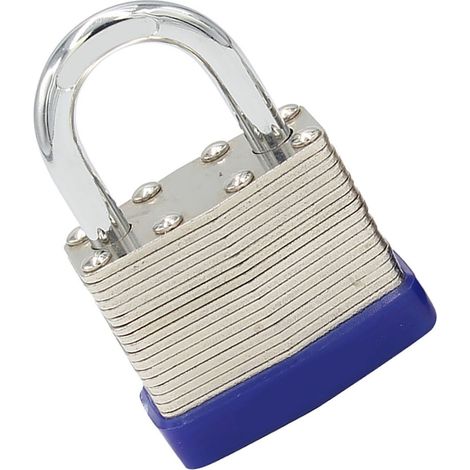 Cadenas de sécurité en forme de U, en acier, laiton et fer résistants à la corrosion, étanche et robuste, pour portes LP01 (1/5)