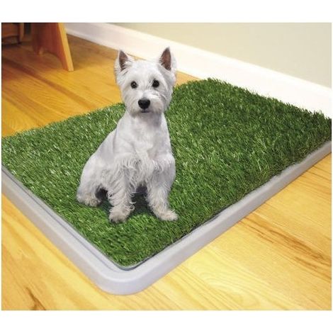 TrAdE Shop Traesio - Dog Toilette Cani Potty Patch Lettiera Wc Lavabile 3 Strati Bisogni Animali 43 X 68 Cm -