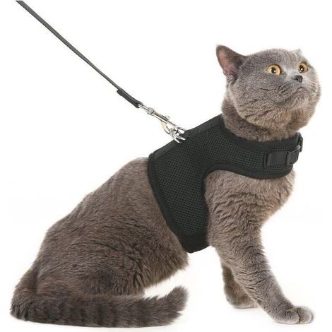 Ensemble gilet, harnais et laisse en maille souple pour chat, harnais épais pour chiots, petits chiens et lapins, noir, taille M (1/4)