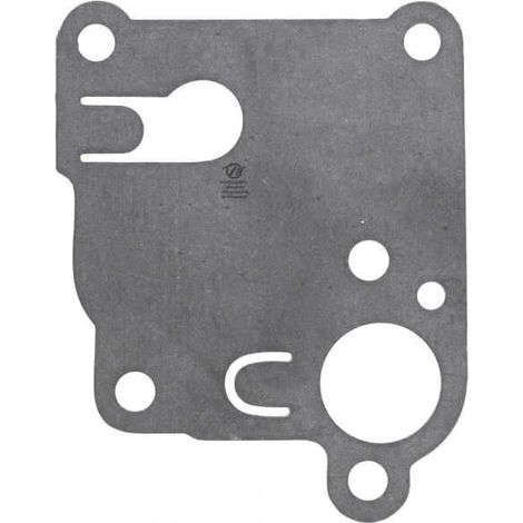 Membrane carburateur en kit pour Briggs & Stratton 270253 (1/2)