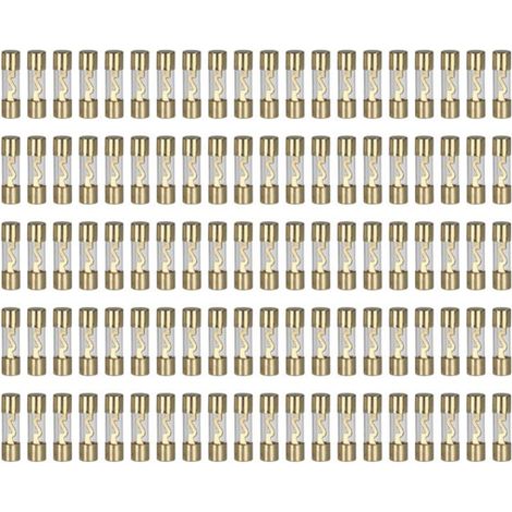 100 Fusibles AGU verre dore 80A