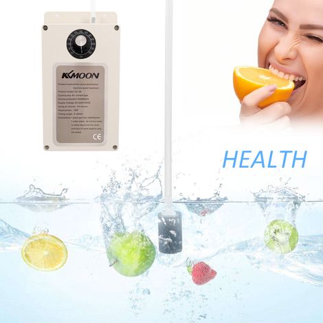 Purificateur d'air et d'eau multifonctionnel pour la maison, 2000 mg/h, machine à ozone portable (1/2)