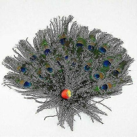 100 plumes de queue de paon naturelles (25-30 cm) pour la décoration de bouquets à faire soi-même-10PCS