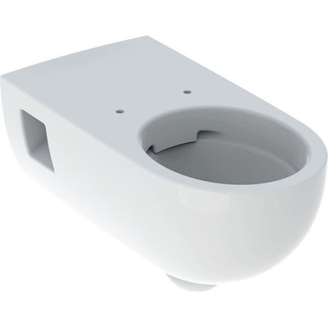 Geberit Renova Nr. 1 Inodoro lavable Comfort, sin borde, 6/5 l, (1/2)