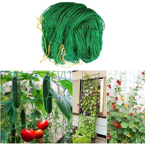 Kletternetz für Kletterpflanzen Pflanzennetz Gurkenranknetz 3 x 2 m Stütznetz Kletterpflanzen Kletternetz für Pflanzen und Blumen für Kletterpfla (1/5)