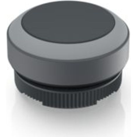 RAFI 1.30.270.001/0108 RAFIX 22 FS Drucktaster    tastend  (L x B x H) 29.8 x 29.8 x 18.5 mm  1 St.