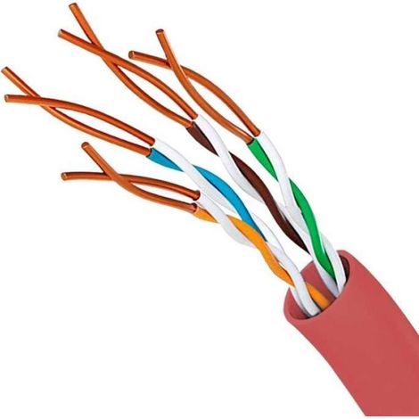 Câble Ethernet - RJ45 - 30 cm - Rouge - 1 pièce (1/4)