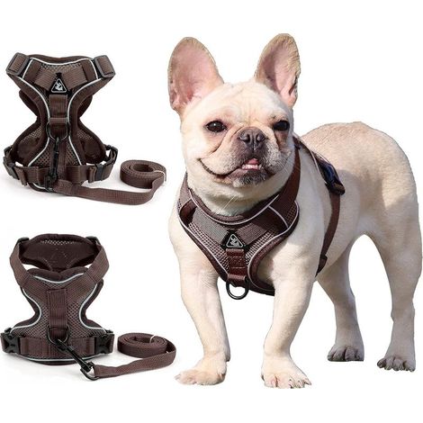 Harnais pour chien de petite et moyenne taille (Marron XL)-Fei Yu