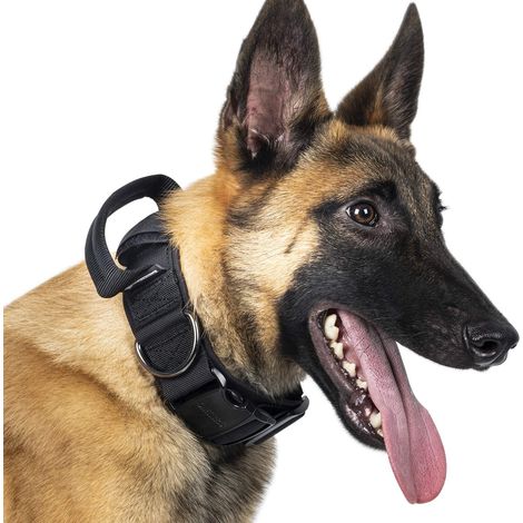 Collier pour Chien avec Boucle en métal pour Chien Convient aux Chiens de Taille Moyenne et Grande - Noir L (1/5)