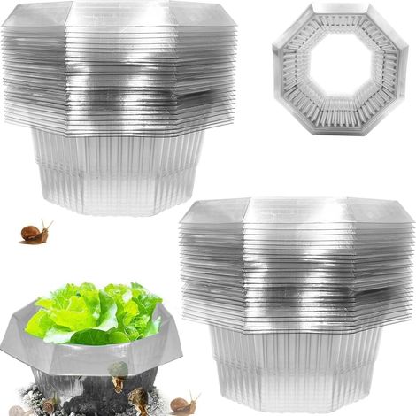 Collari Antilumache 20 Pezzi Ø 24 cm In Plastica Riutilizzabili (1/5)