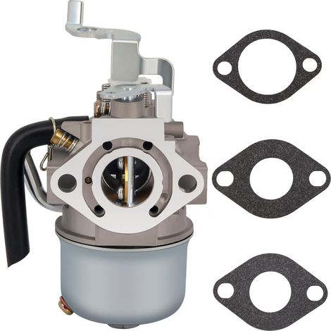 Carburateur de Rechange pour FG200 / EH17 - Compatible 253-62456-30, 253-62456-10, 253-62456 (1/5)