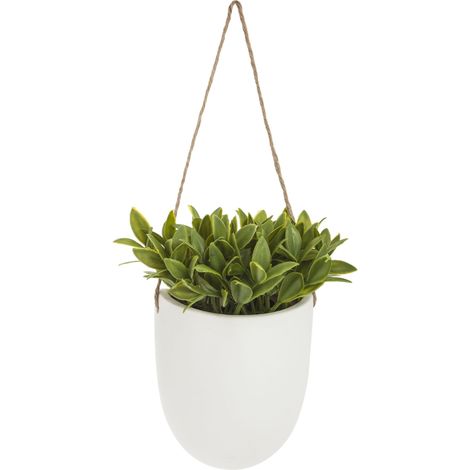 Atmosphera Pianta sospesa verde 13 cm di larghezza (1/4)