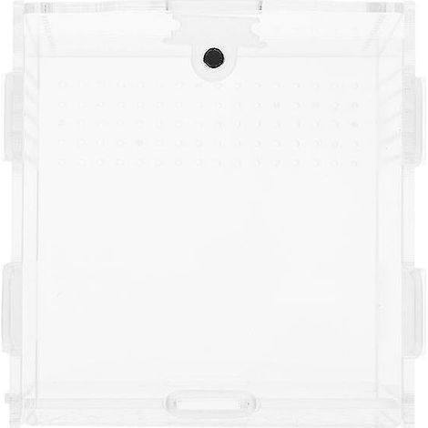1 boîte d'élevage transparente