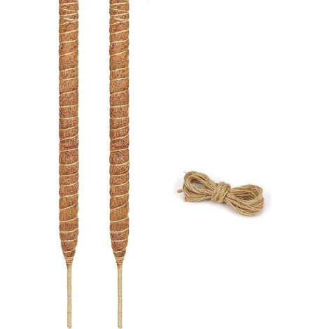 Support pour plantes grimpantes à faire soi-même : support de jardin flexible et modelé pour potentilles et monsteras, à base de branches de cocotier modifiées (1/5)