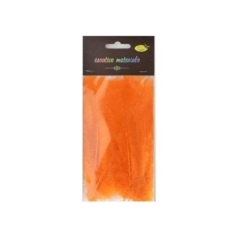 Plumes orange douces, 15 pièces