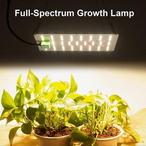 Lampe horticole LED à spectre complet pour usage intérieur, 3000K/5000K, lumière IR/UV pour plantes vertes