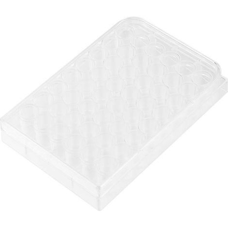 Plaque de culture cellulaire en plastique de qualité supérieure à 48 puits pour culture cellulaire (1/3)