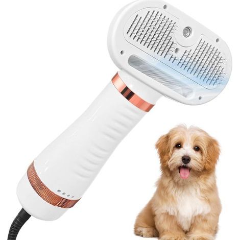 Séchoir Toilettage Chien - Séchoir Canin Silencieux Pour Toilettage Réglable Intérieur pour Chiens Chats Chiots Poils d'Animaux (1/5)