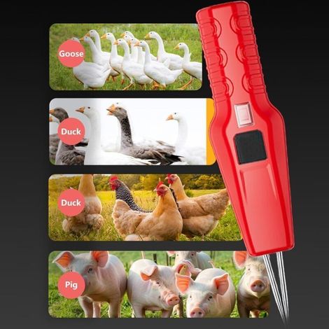 Bardusch – Leichter, tragbarer elektrischer Dampfglätter aus ABS-Kunststoff, USB-betrieben, sicheres Küchengerät für den Hausgebrauch