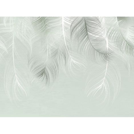 Poster Thème Rêve de Plumes -Feather Dream-- 360 x 270 cm (1/3)