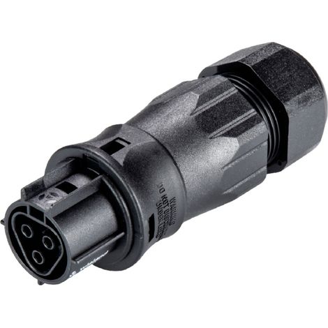 Wieland Electric 96.031.4553.1 Connecteur