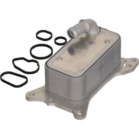 Enfriador de aceite rápido FT12499 (1/5)