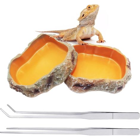 Lot de 2 Gamelles en Résine pour Reptiles avec 2 Pinces de Nourrissage en Acier Inoxydable, Bol d'Eau et de Nourriture Décoration de Vivarium pour Lézard, Gecko, Tortue et Serpent (1/5)