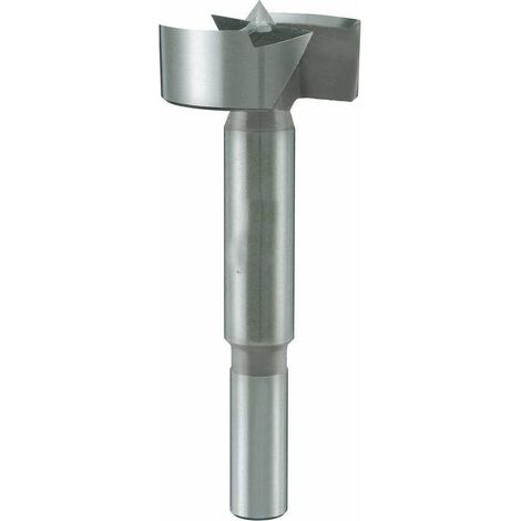 Mèche à Façonner Bois type Forstner - Bois Tendre, Bois Dur et Panneaux Dérivés D. 25 x Lt. 90 x Q. 10 mm x Z2 - Diamwood