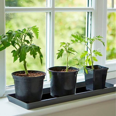 Automatische Pflanzenbewässerungsmatte, schwarze Filz-Kapillarmatte 1,2 x 1 m mit 10 Etiketten für Gärten und Terrassen (1/5)