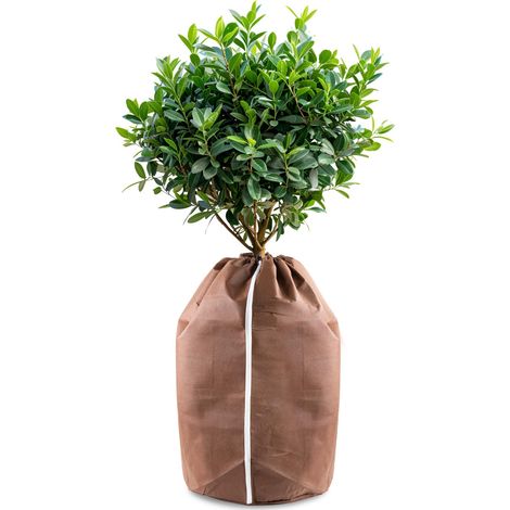 Housses d’hivernage pour Plantes en Pot, 40x40cm Housses hivernage, Housse Hivernage Plante, Housse d’Hivernage, Brun