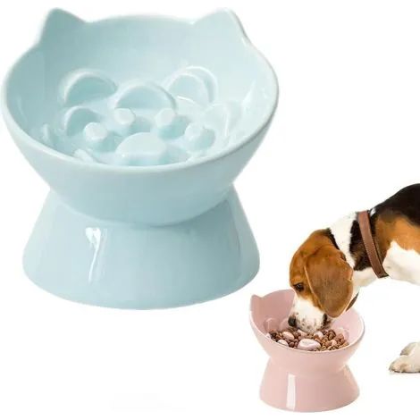 Gamelle anti-glouton en céramique bleue pour chat, conception anti-engloutissement pour une meilleure digestion (1/3)
