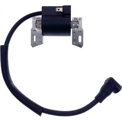 Bobina accensione briggs motori 2  3  3.5  4 hp orizzontali verticali tagliaerba