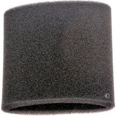 Filtro de espuma RS-RU3712 ROWENTA