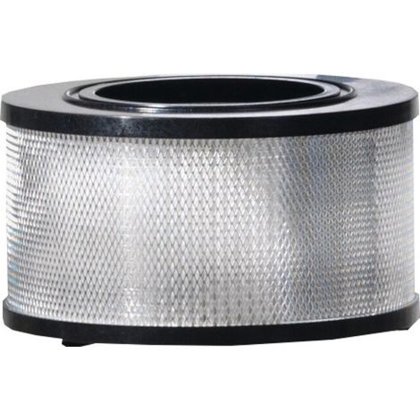 Elément filtrant Nilfisk ( 4000897209 ) pour modèle (1/4)