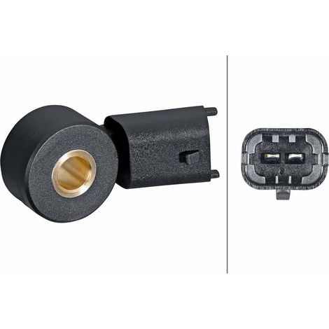 Capteur de cognement HELLA 6PG 013 114-591 CHEVROLET 12 36 006 25201064 55563372