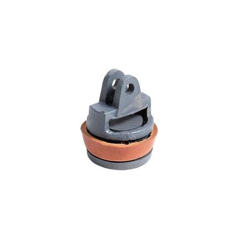Piston de remplacement pour pompe à bras Type 75 – Kit complet avec joint en cuir véritable – Pour pompes manuelles de jardin, puits et fontaines