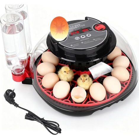 Incubateur oeufs Automatique pour Poules, Pouvant Accueillir Jusqu'à 12 œufs, Couveuse d'œufs Entièrement avec Retournement, Éclairage et Contrôle de l'Humidité. (1/5)