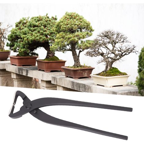 Hochwertiger Stammspalter aus Stahl, Bonsai-Modellierwerkzeug für Anfänger, 210 mm (1/5)