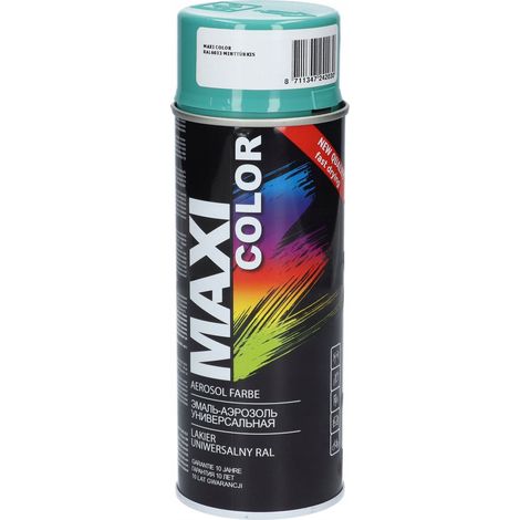 Maxi couleur RAL 6033 brillant (1/4)