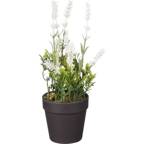 Mica künstlicher Lavendel im Topf weiß 24 x 10 cm Dekoblumen