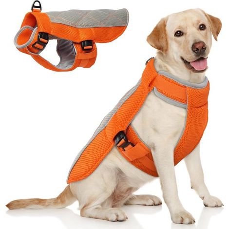 Gilet rinfrescante per cani: giacca traspirante e regolabile per collo e pancia con inserti in rete per un raffreddamento prolungato, riflettente, arancione, taglia L (1/5)